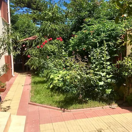 Pensiunea Karelia Casa de hóspedes