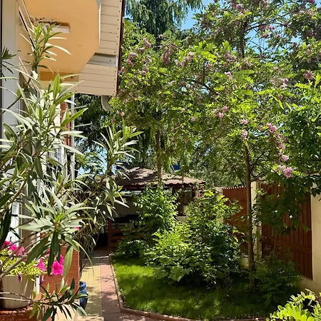 Pensiunea Karelia 3* エフォリエ・ノルド