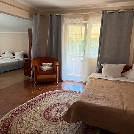 Гостевой дом Pensiunea Karelia 3*
