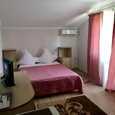 Pensiunea Karelia 3* エフォリエ・ノルド