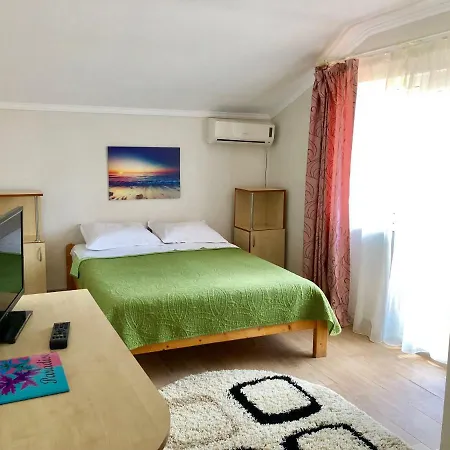 Pensiunea Karelia エフォリエ・ノルド