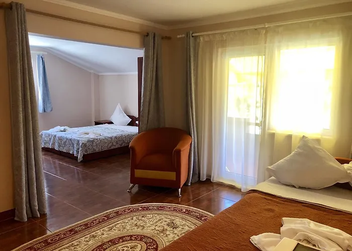 Pensiunea Karelia Гостевой дом 3*